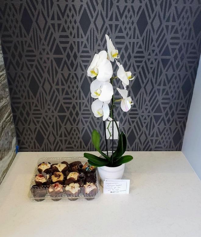 A gift of cupcakes and a beautiful white orchid plant from dentist in Urbandale and Johnston Iowa 