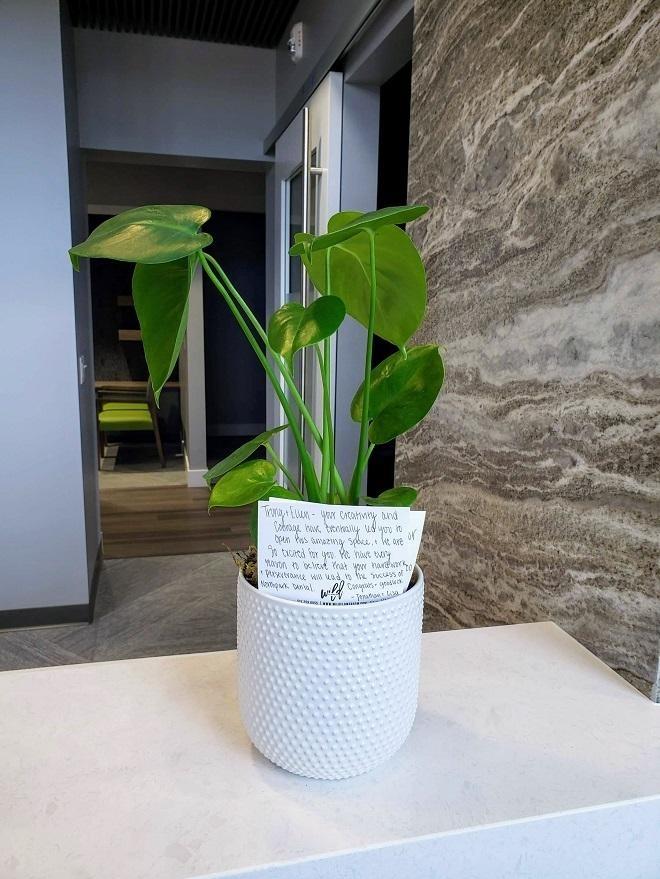 A gift of a beautiful green plant from a dentist in Urbandale and Johnston Iowa